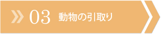 動物福祉・虐待について