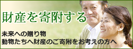 財産を寄附する