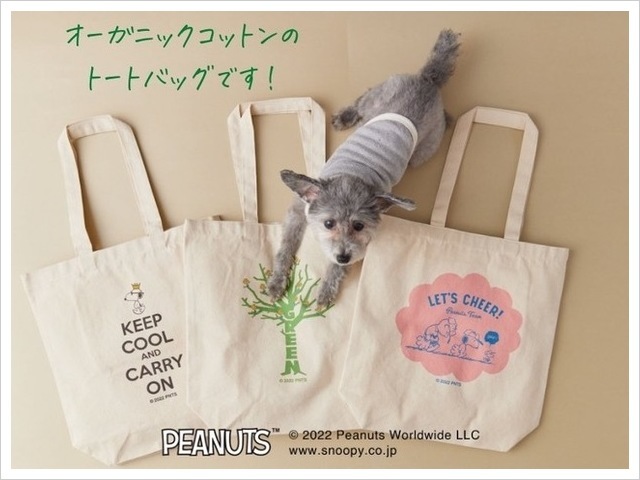 ゲンナイ製薬