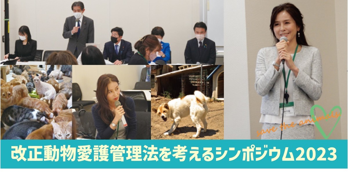 改正動物愛護管理法を考えるシンポジウム