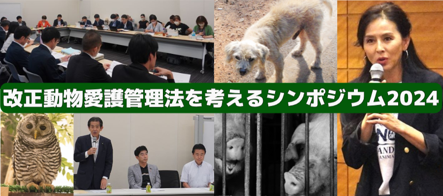 改正動物愛護管理法を考えるシンポジウム2024