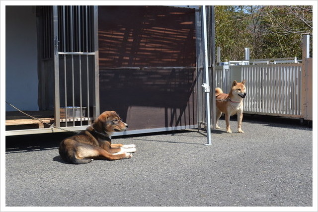 徳島県動物愛護管理センタ