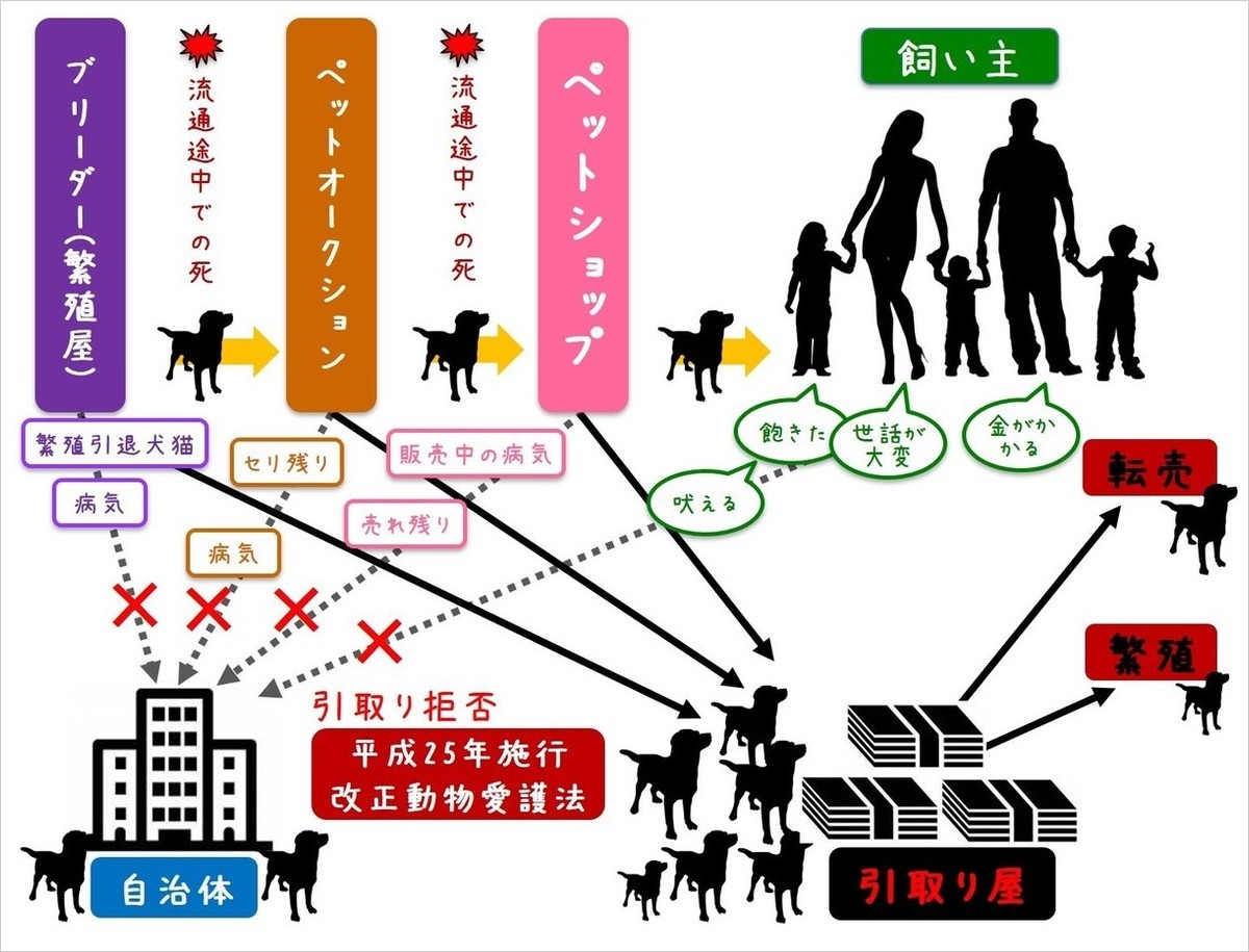ペット流通と引取り屋