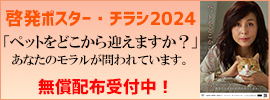 啓発チラシ2024