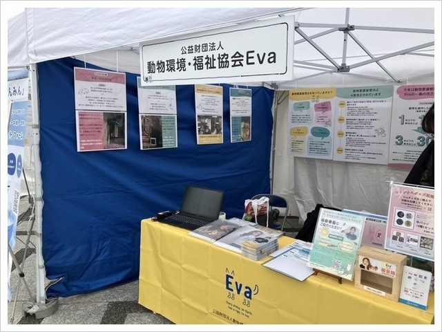 民主主義ユースフェスティバル2025　東京