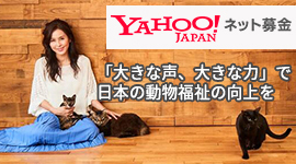 yahooネット募金