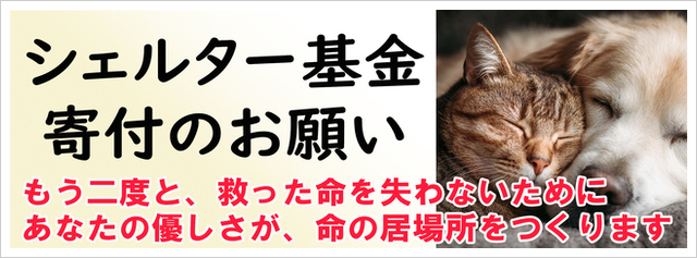 シェルター基金