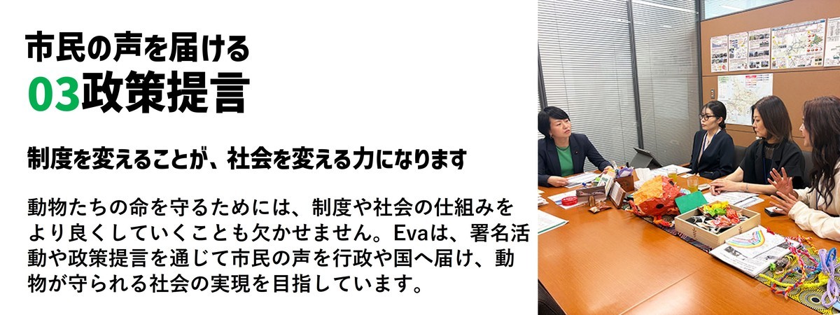 Evaの政策提言