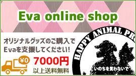 Evaオリジナルグッズの販売ぺージへ