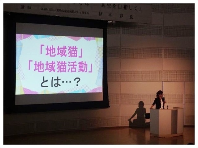 はりフェス
