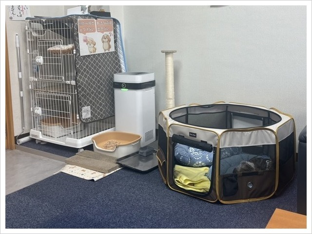 杉本彩の小学校授業