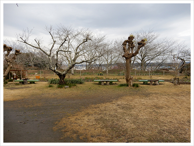 城山公園内の孔雀園