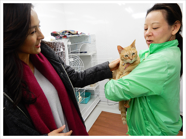 九州災害時動物救援センター視察