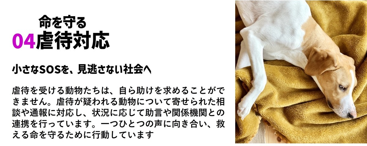 Evaの虐待対応