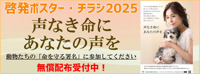 啓発チラシ2025
