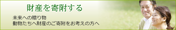 財産を寄附する