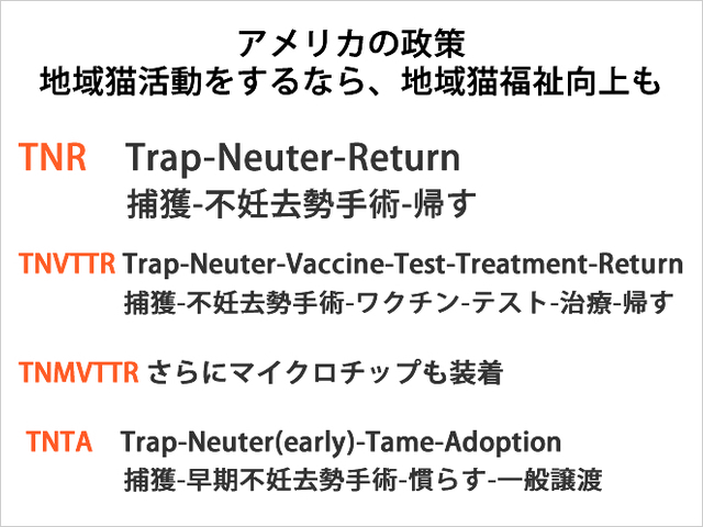 アメリカの地域猫政策