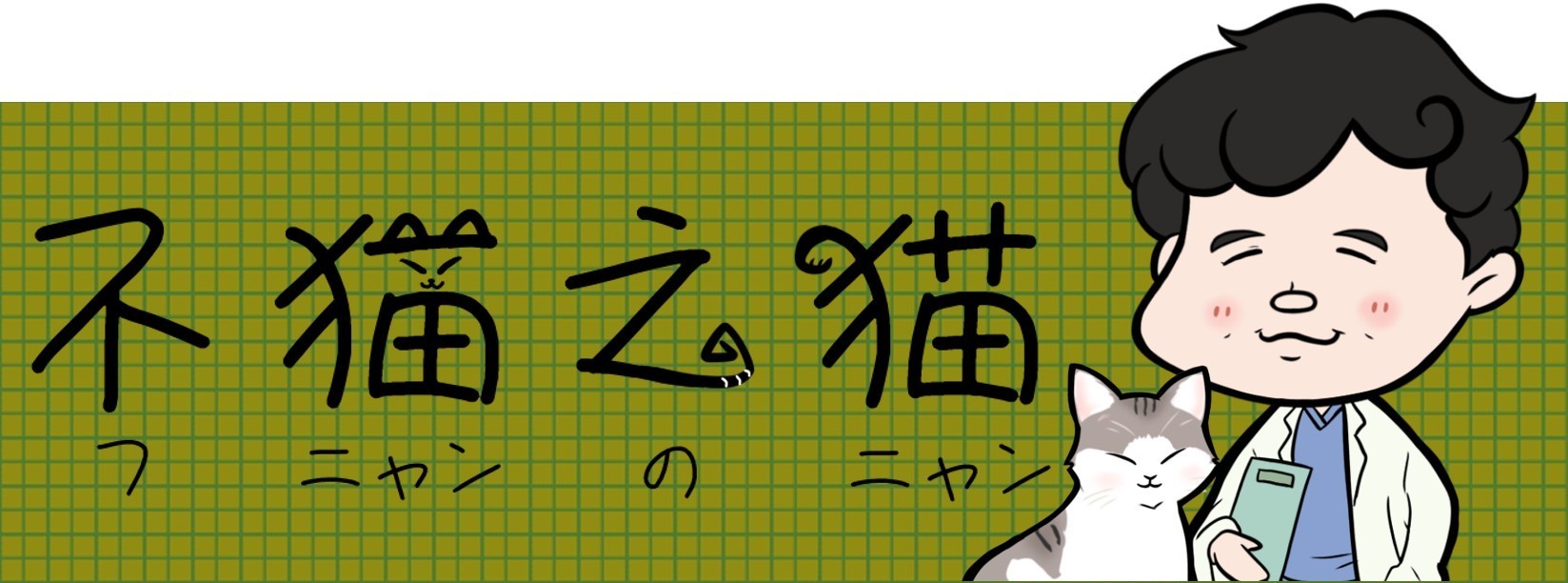 心臓外科医 南淵明宏のコラム 不猫之猫 公益財団法人動物環境 福祉協会eva