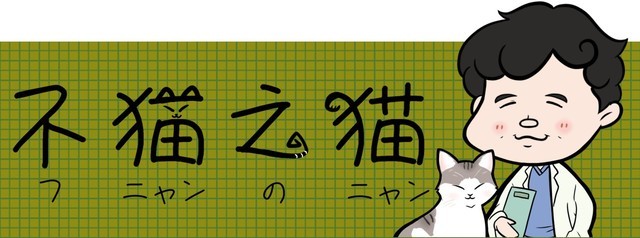 心臓外科医 南淵明宏の不猫之猫