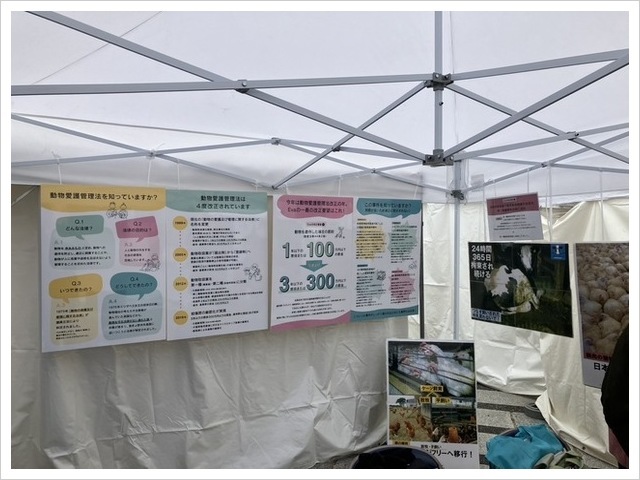 民主主義ユースフェスティバル2025　東京