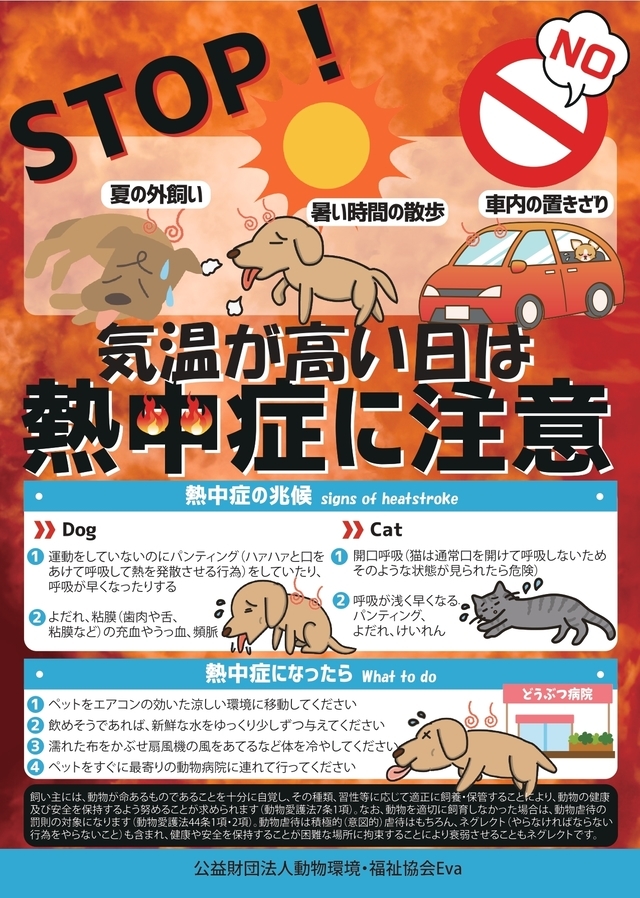 動物虐待は犯罪です。