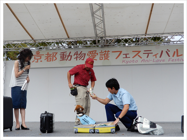 平成30年度京都動物愛護フェスティバル（Kyoto Ani-Love Festival）