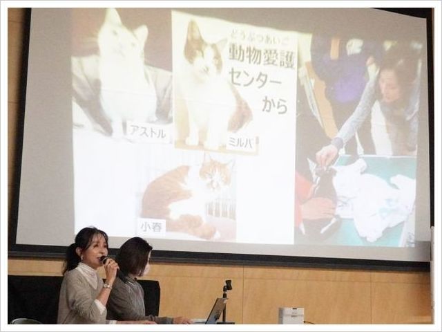 立川市立若葉台小学校