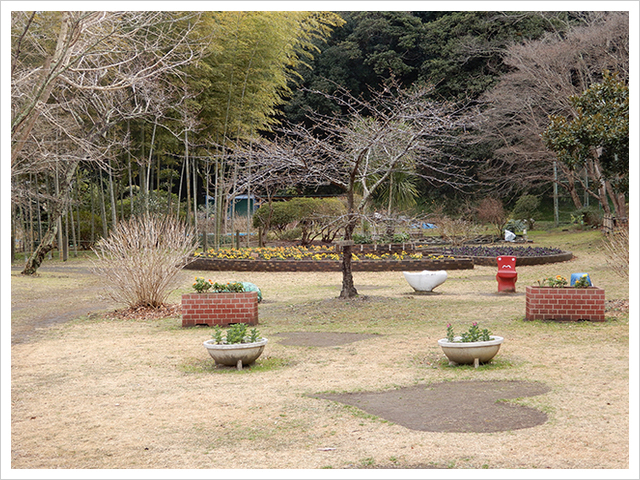 城山公園内の孔雀園