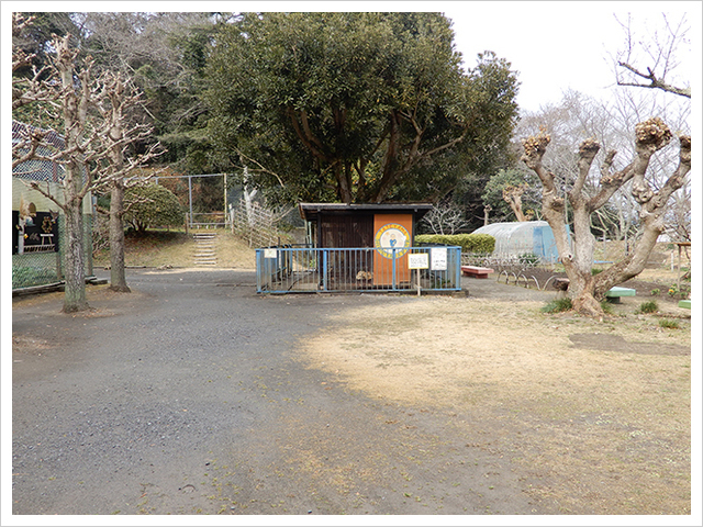 城山公園内の孔雀園にいるニホンザル