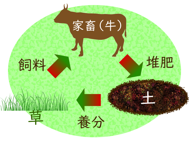 資源循環型畜産