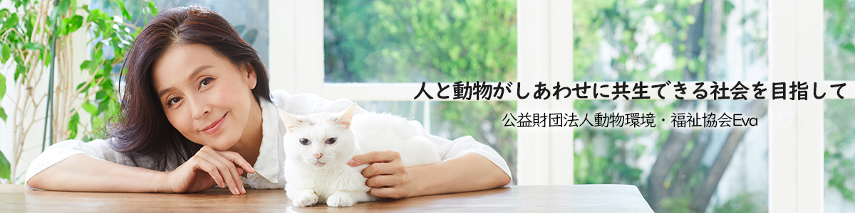 公益財団法人動物環境・福祉協会Eva