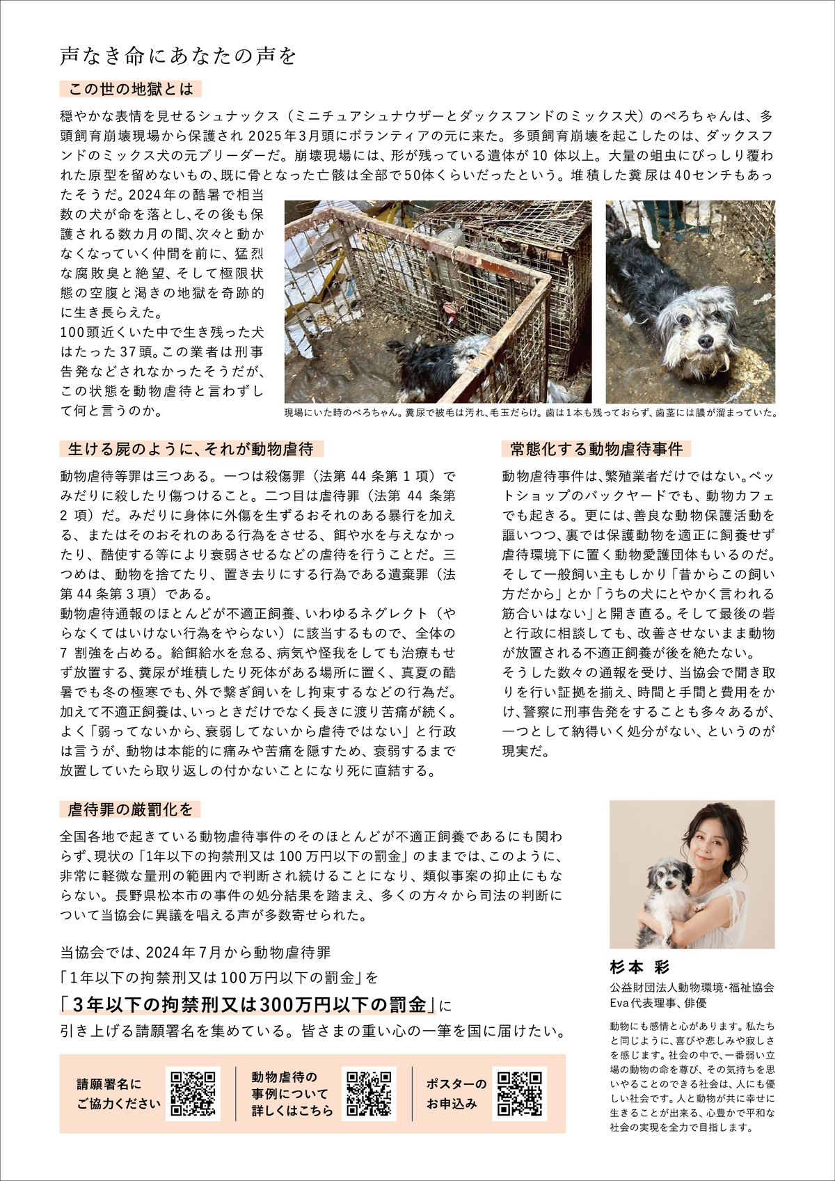 啓発チラシ裏