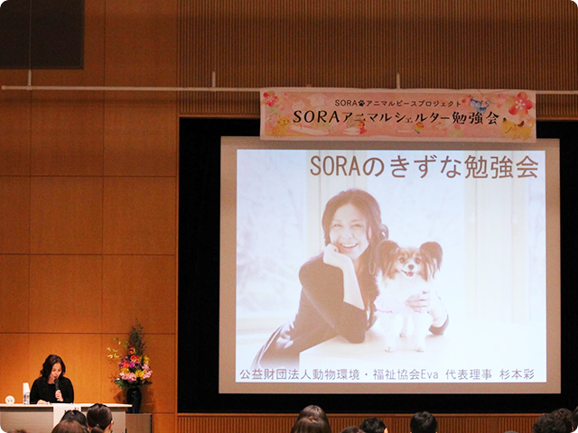 第19回SORAのきずな勉強会