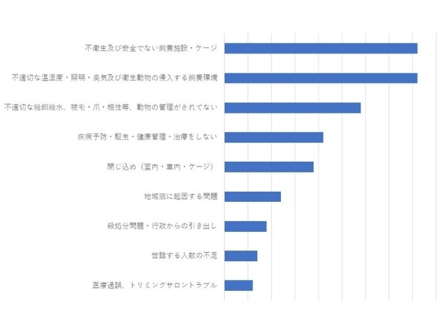 ネグレクトの主な内容