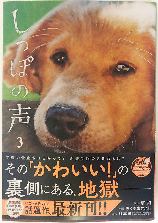 しっぽの声3