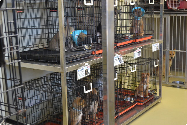 徳島県動物愛護管理センタ