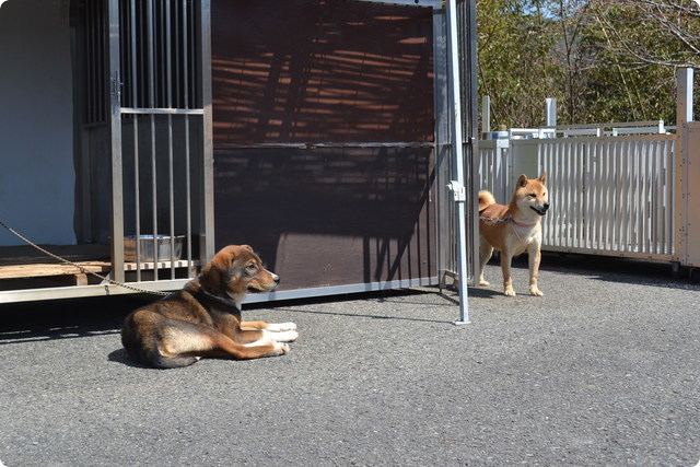 徳島県動物愛護管理センタ