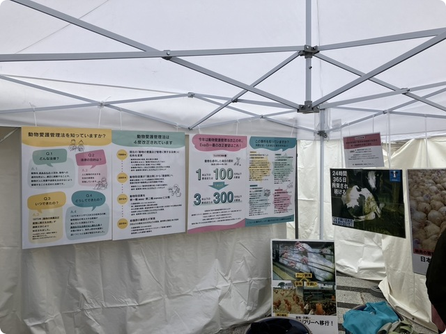 民主主義ユースフェスティバル2025　東京