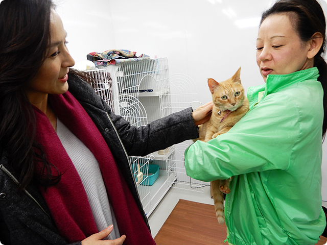 九州災害時動物救援センター視察