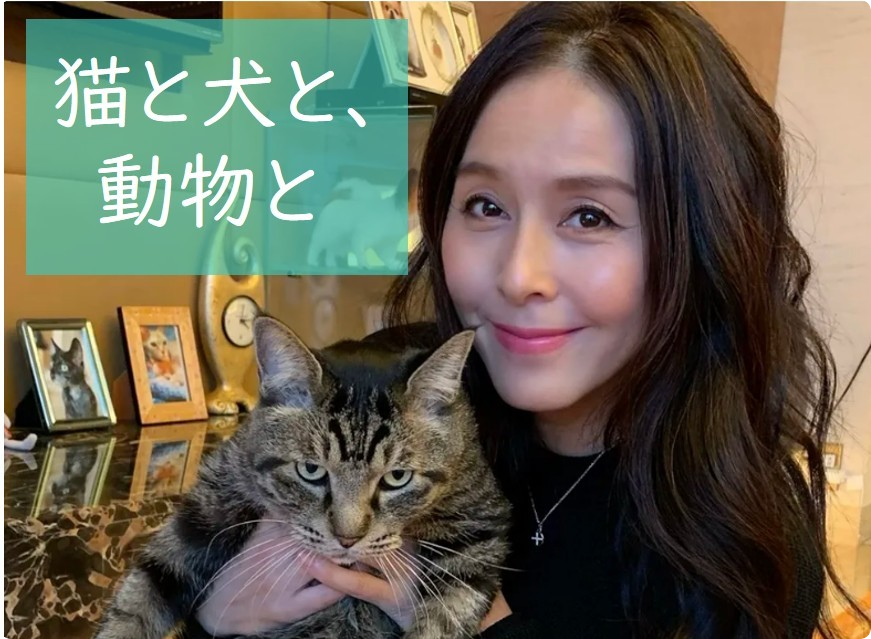 コラム猫と犬と、動物と