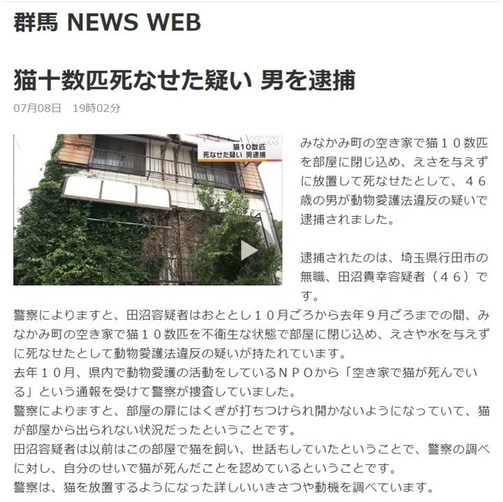 みなかみ町猫虐待事件