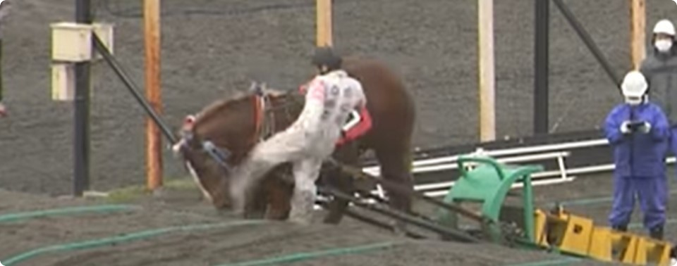 ばんえい競馬廃止を求める要望書提出