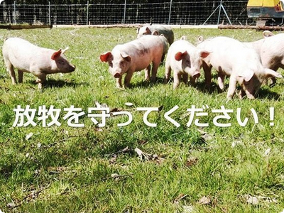 Eva放牧禁止にしないで署名活動
