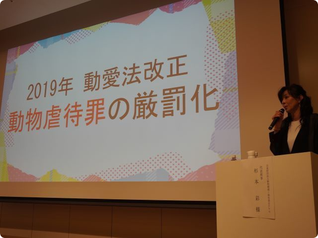 市民シンポジウム「動物虐待問題について真剣に考える」