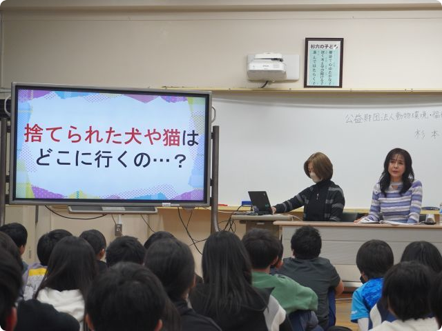 杉並第六小学校出前授業