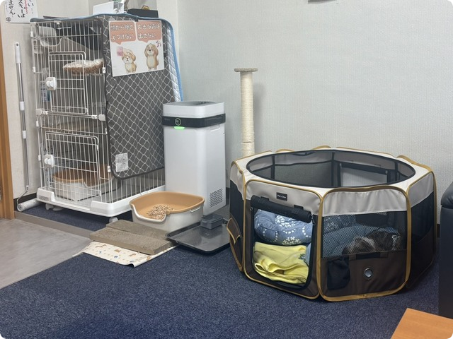 杉本彩の小学校授業