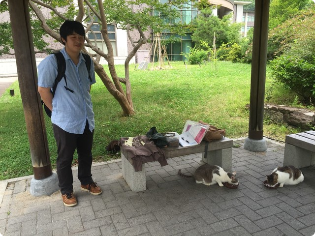 立命館大学猫活動