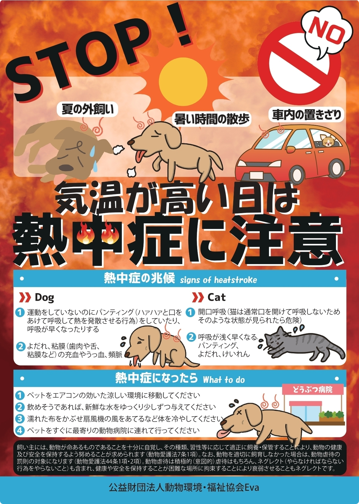 ペット流通と引取り屋