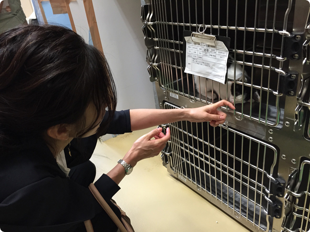 旭川市動物愛護センター「あにまある」の視察　理事長杉本彩
