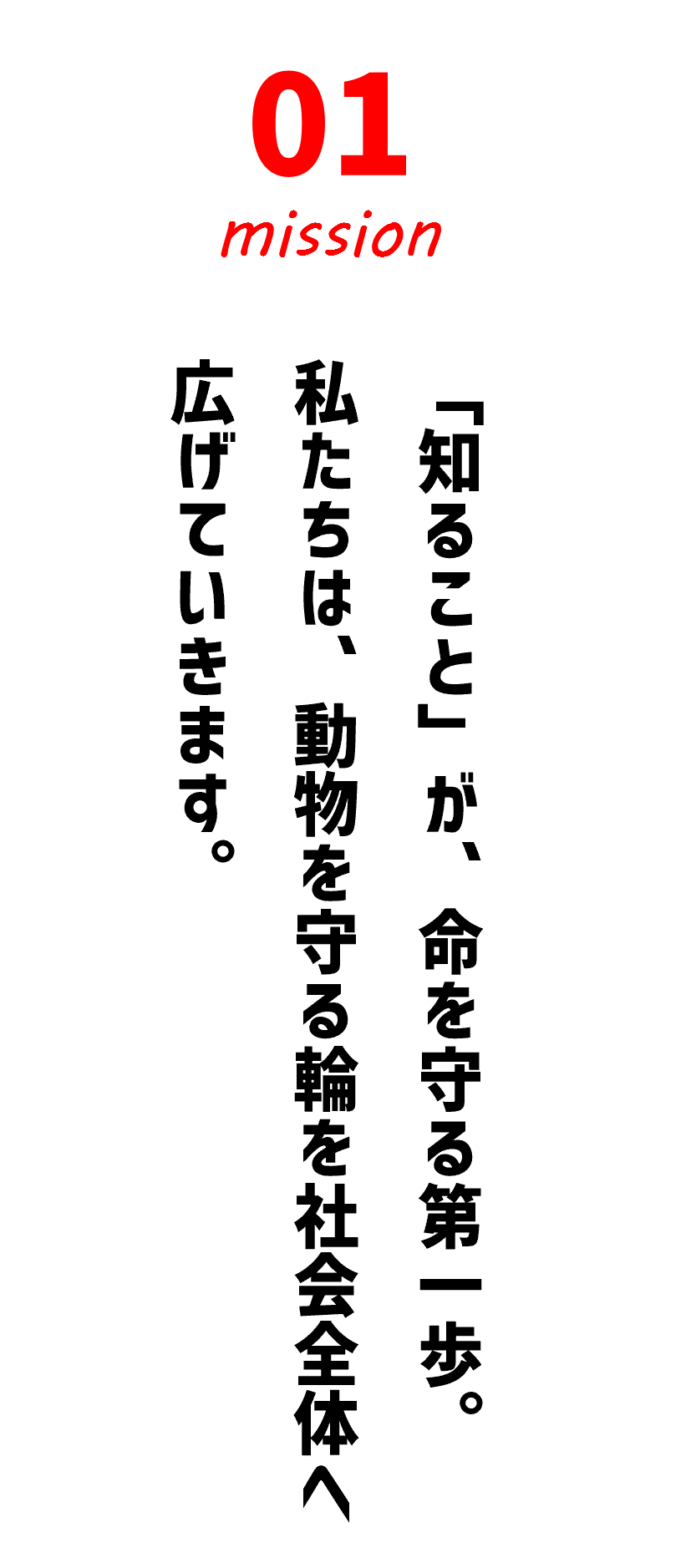 Evaの啓発活動